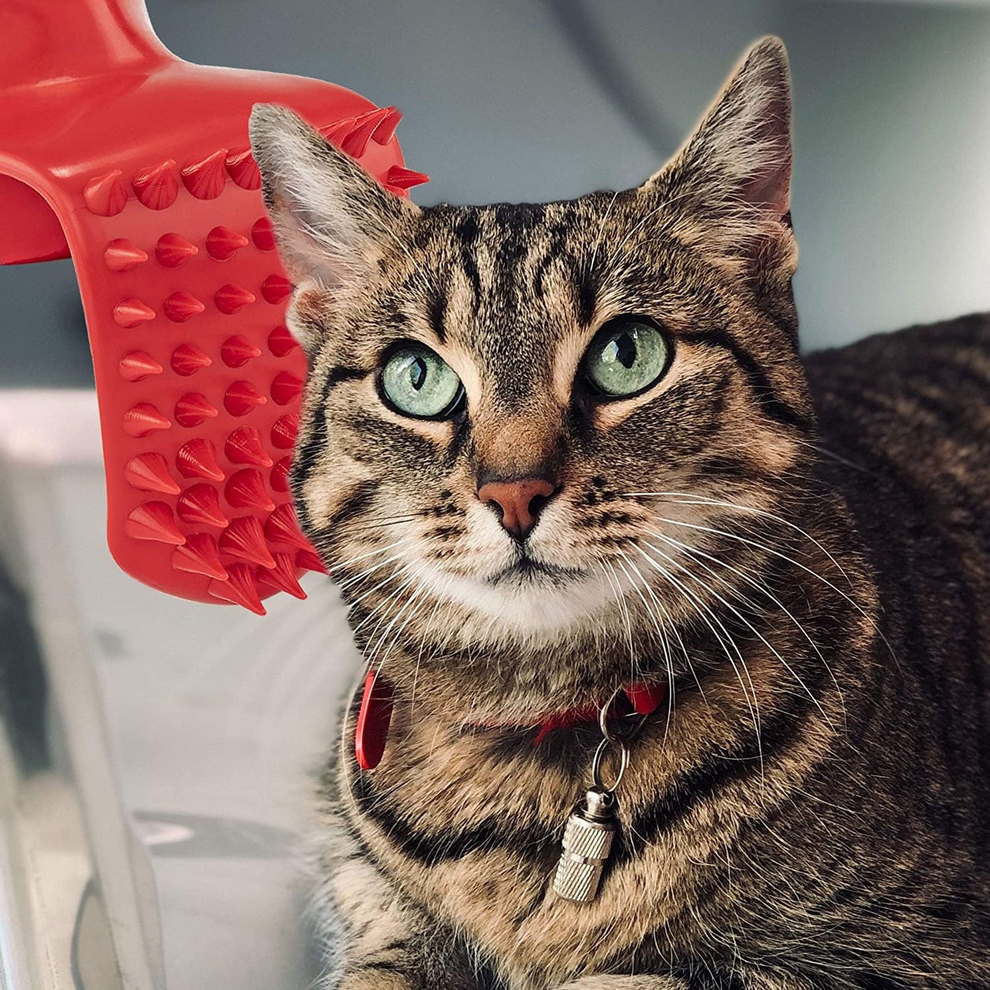 Lick'em Tongue Cat Scratcher and Brush Combo