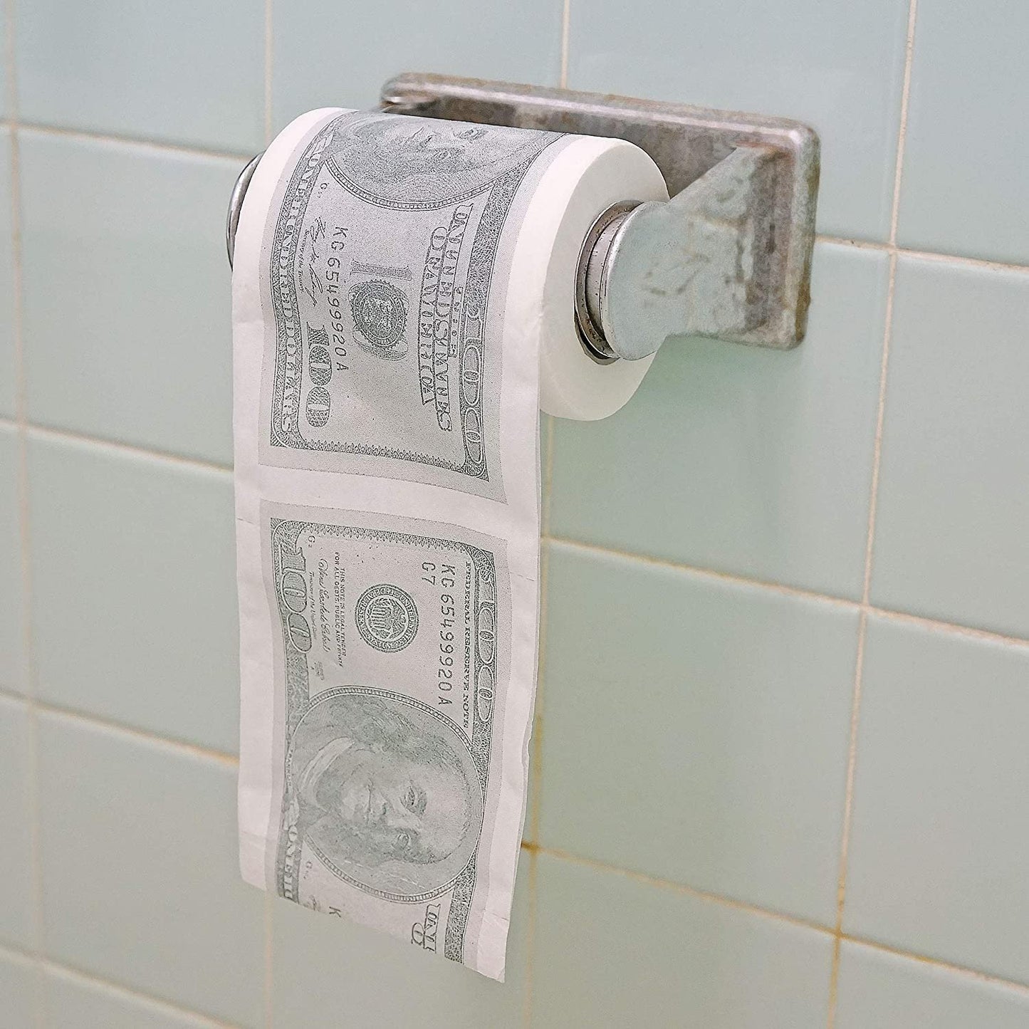 Fairly Odd Novelties USA Money Novelty Toilet Paper