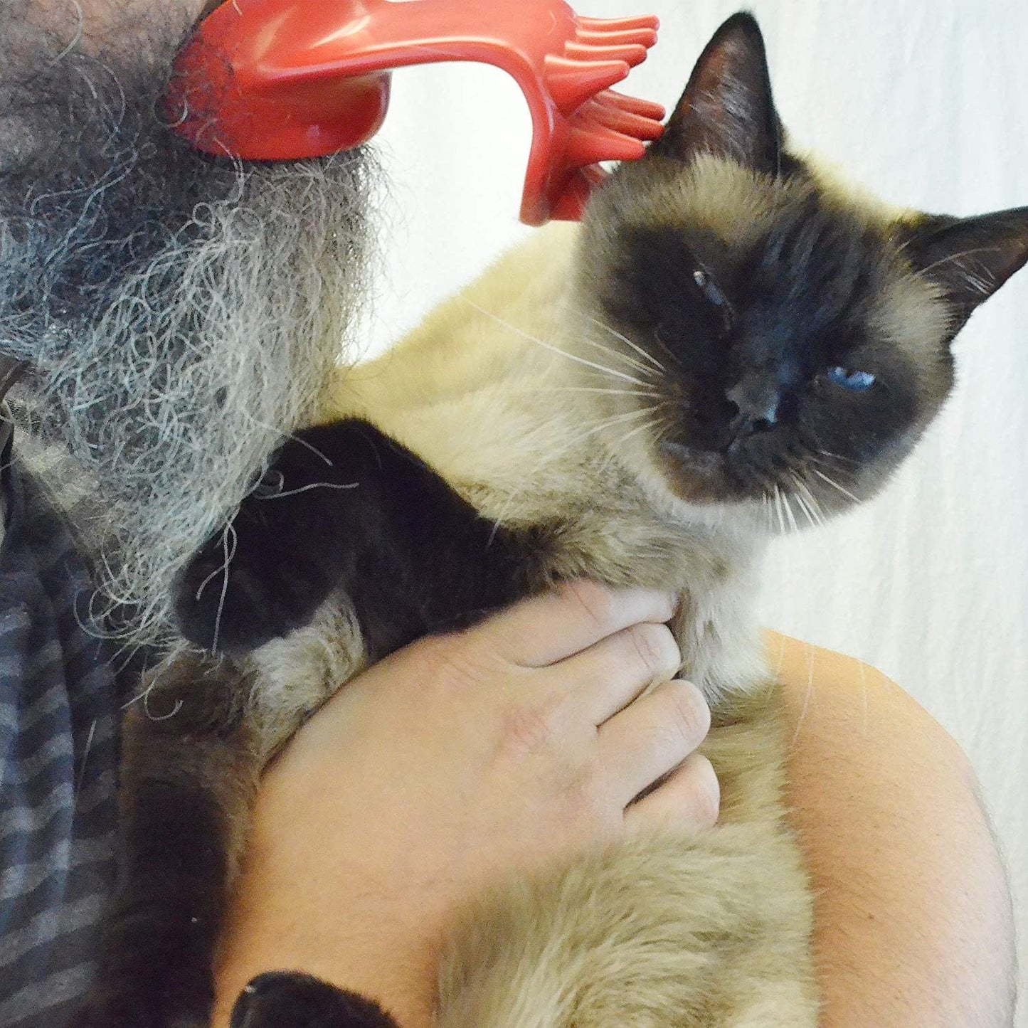 Lick'em Tongue Cat Scratcher and Brush Combo